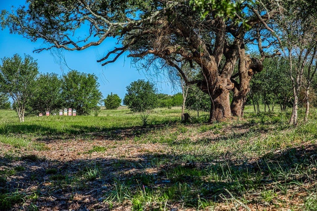 8.93 acres in Fayette County - photo 15