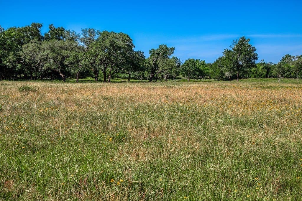 8.93 acres in Fayette County - photo 9