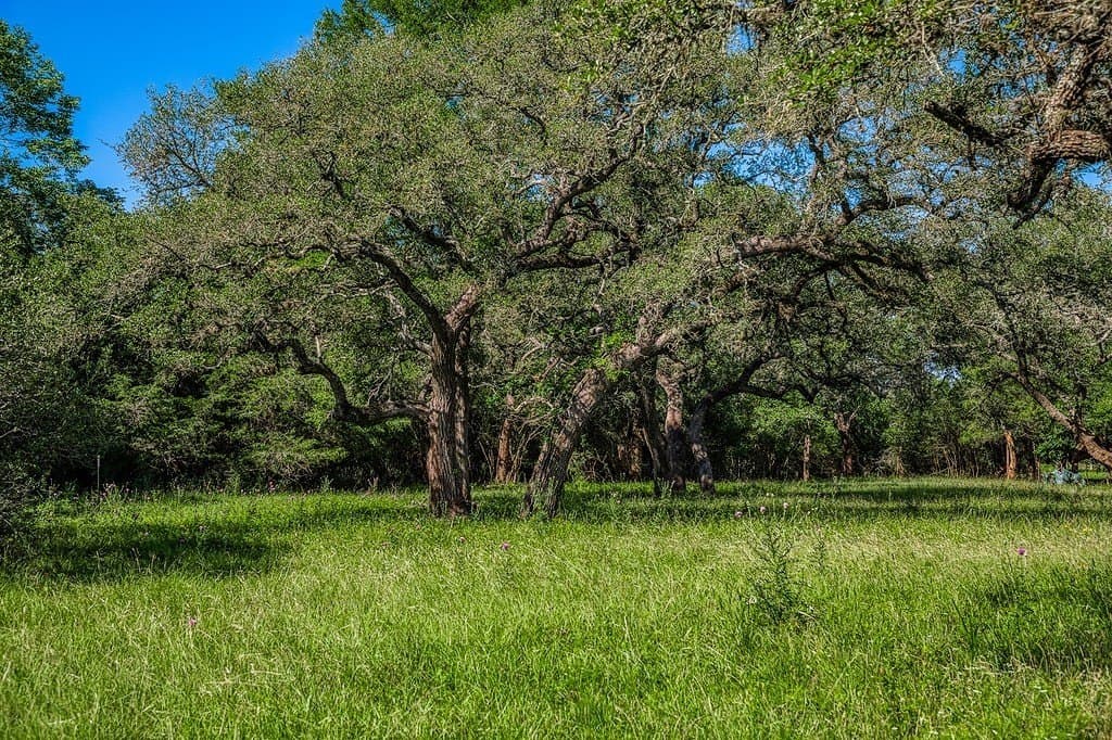 8.93 acres in Fayette County - photo 4
