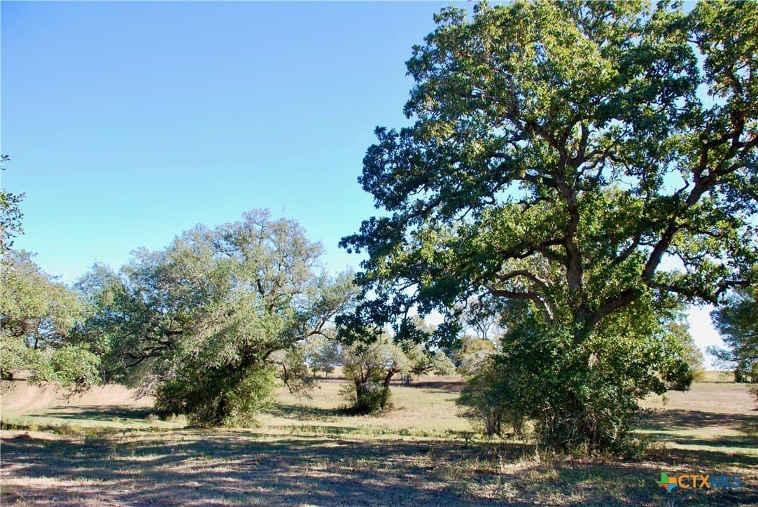 46 acres in Fayette County - photo 7