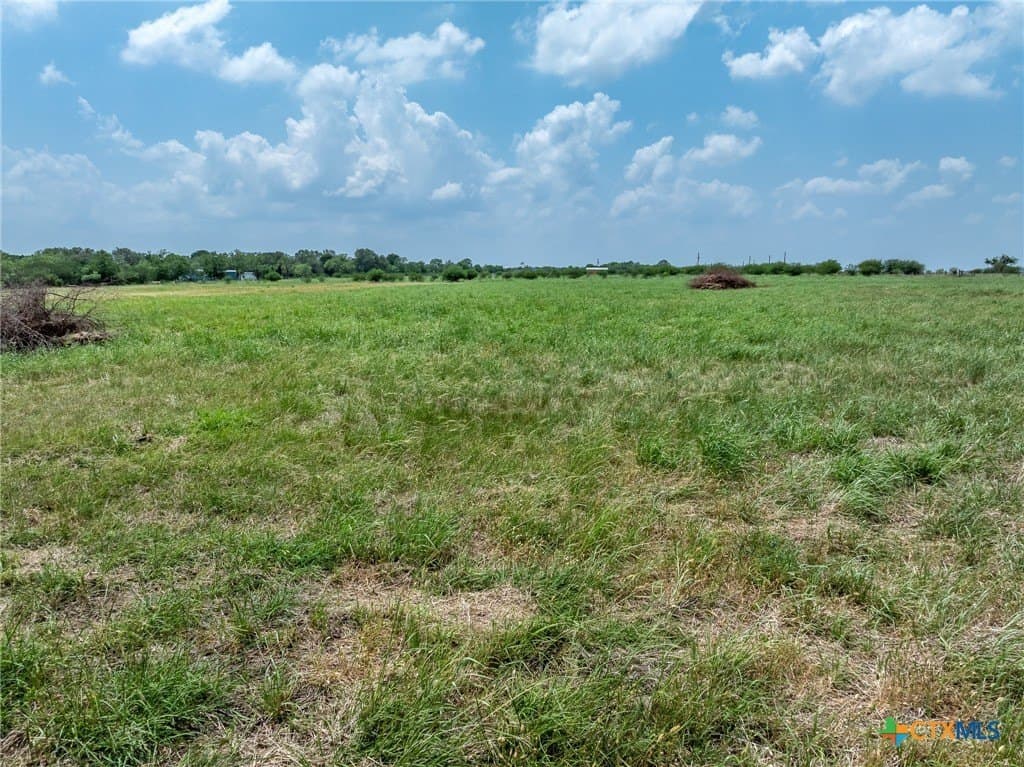 4 acres in Gonzales County - photo 5