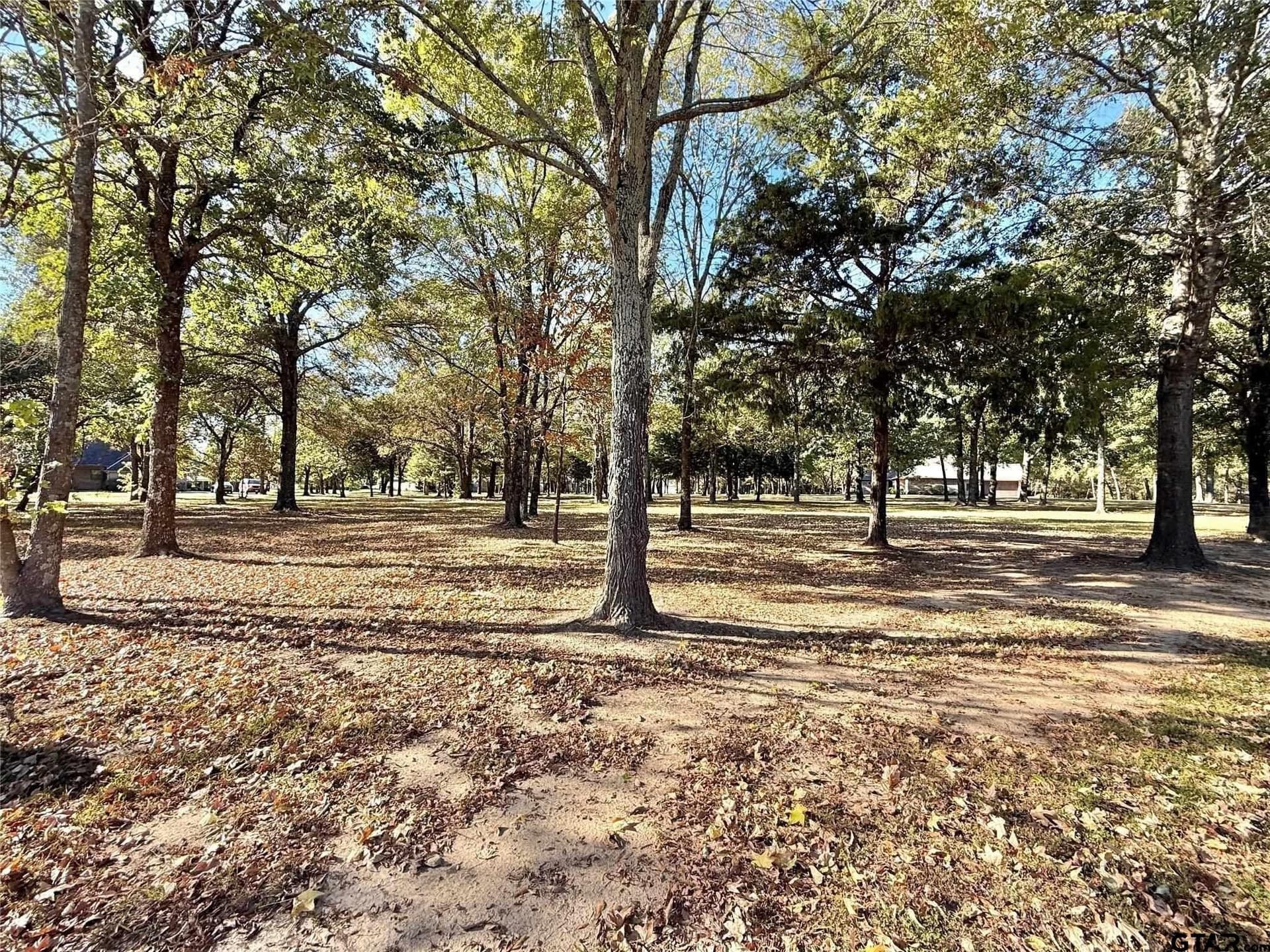 0.71 acres in Wood County - photo 10