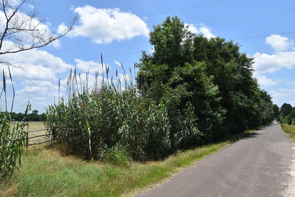 20 acres in ANDERSON County - photo 8