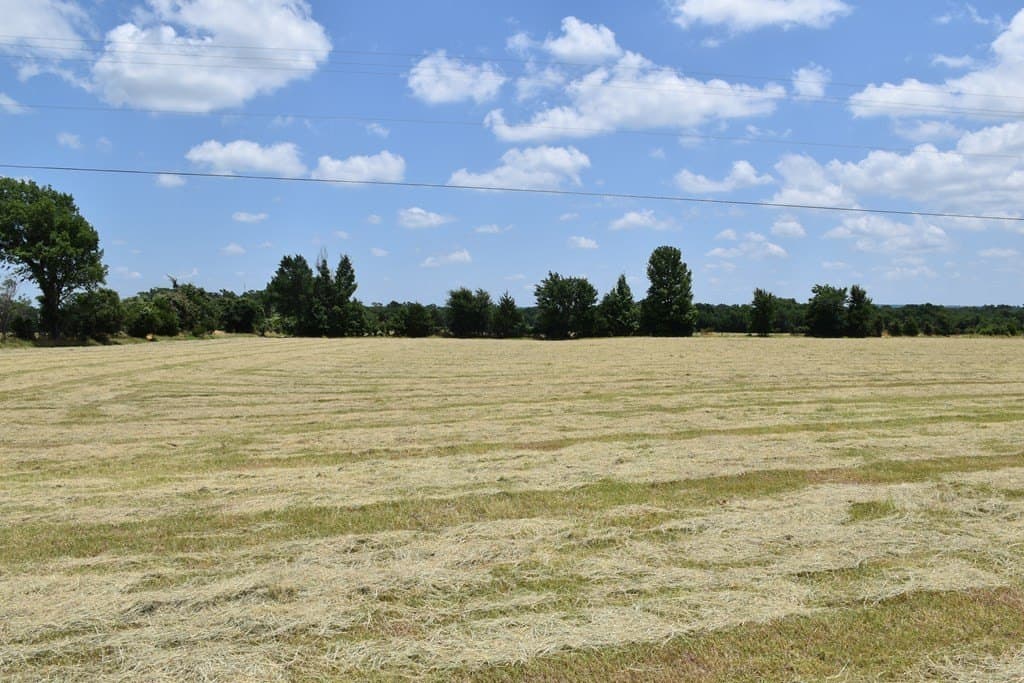 20 acres in ANDERSON County - photo 3