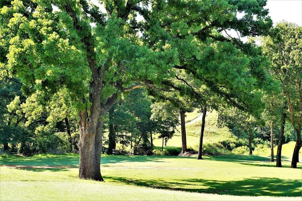 0.43 acres in Grayson County - photo 16
