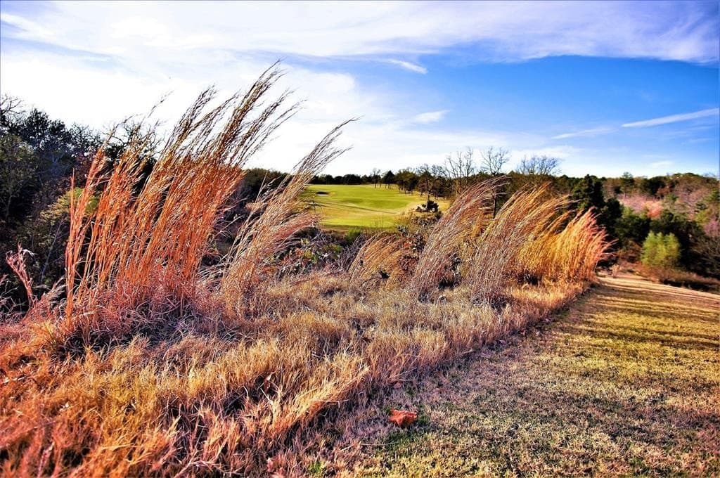0.43 acres in Grayson County - photo 6