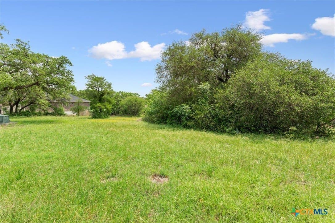 0.29 acres in Bell County - photo 11