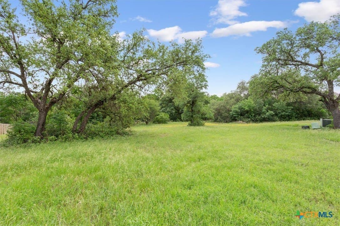0.29 acres in Bell County - photo 8