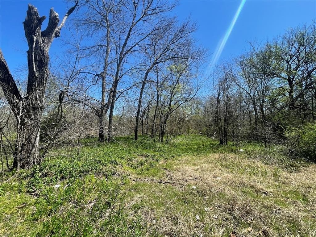 0.2 acres in Grayson County - photo 4