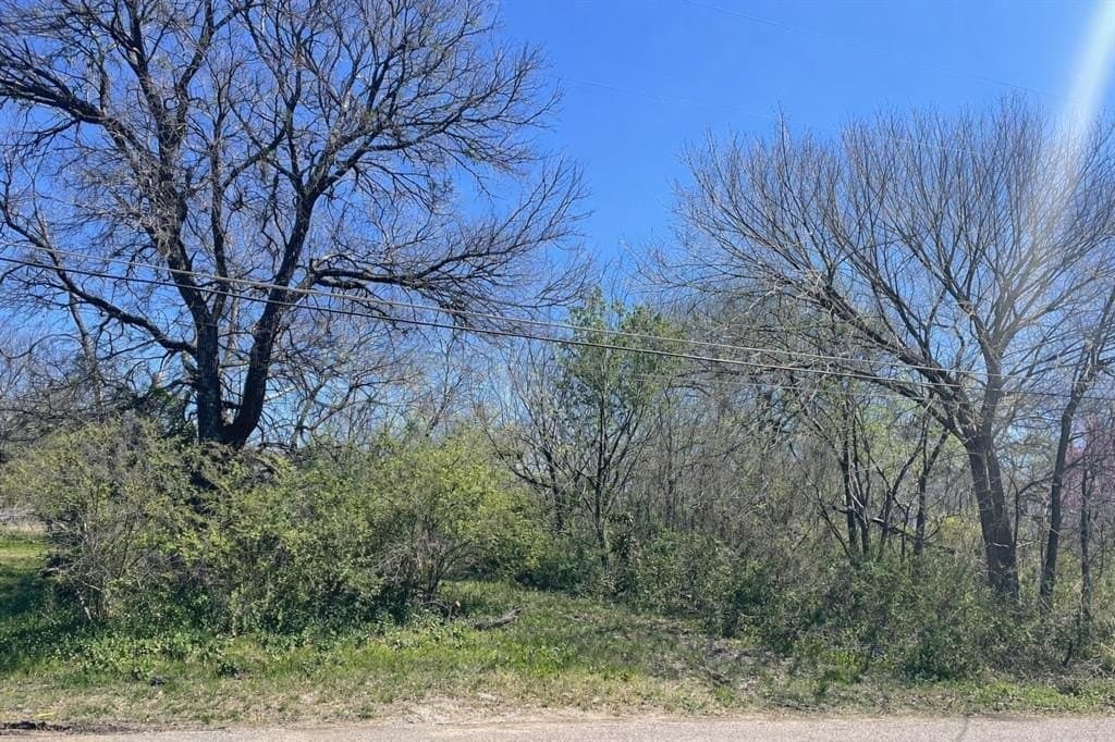 0.2 acres in Grayson County - photo 3