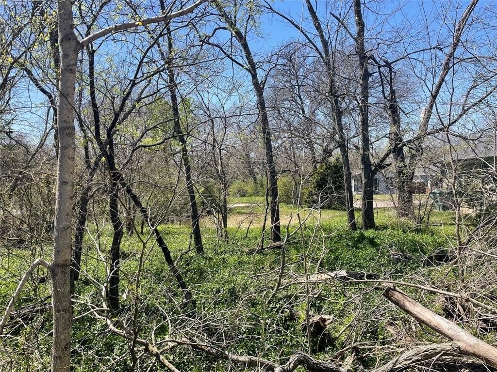 0.2 acres in Grayson County - photo 6