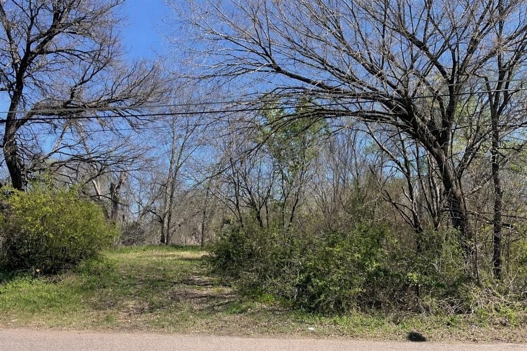 0.2 acres in Grayson County - photo 2
