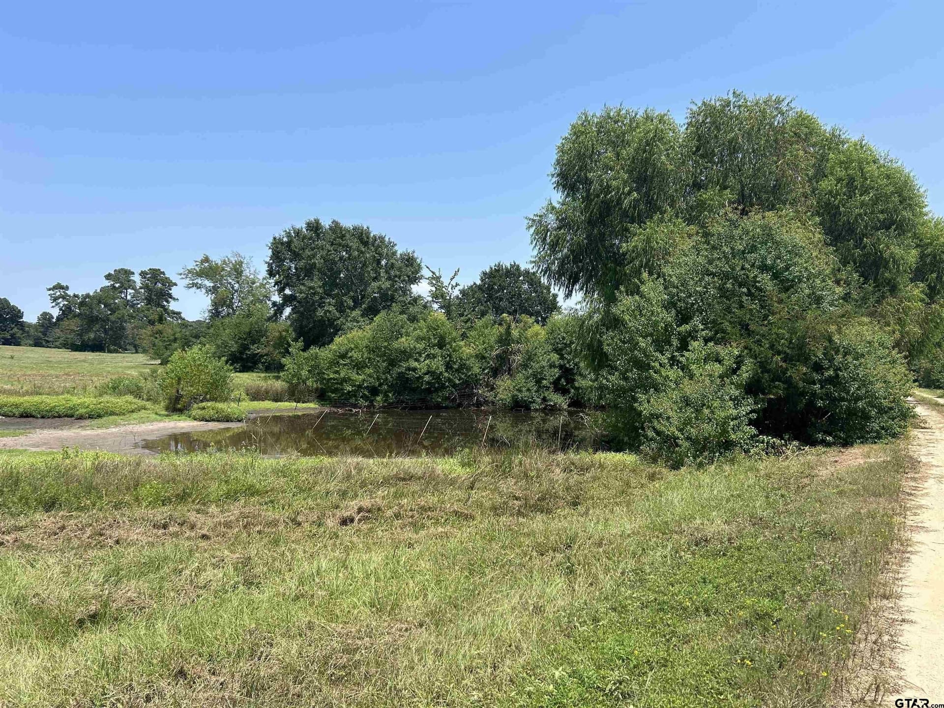 41 acres in Smith County - photo 17