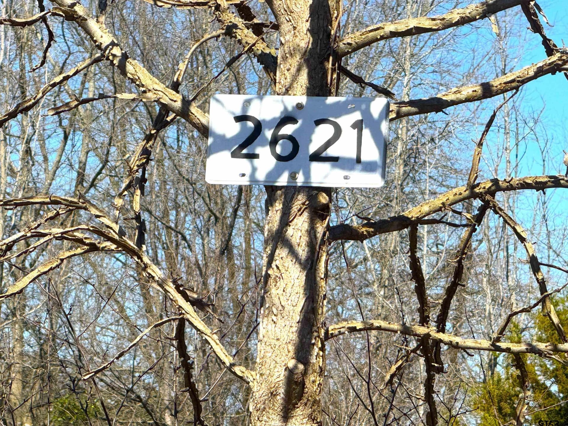 11.64 acres in Cass County - photo 13