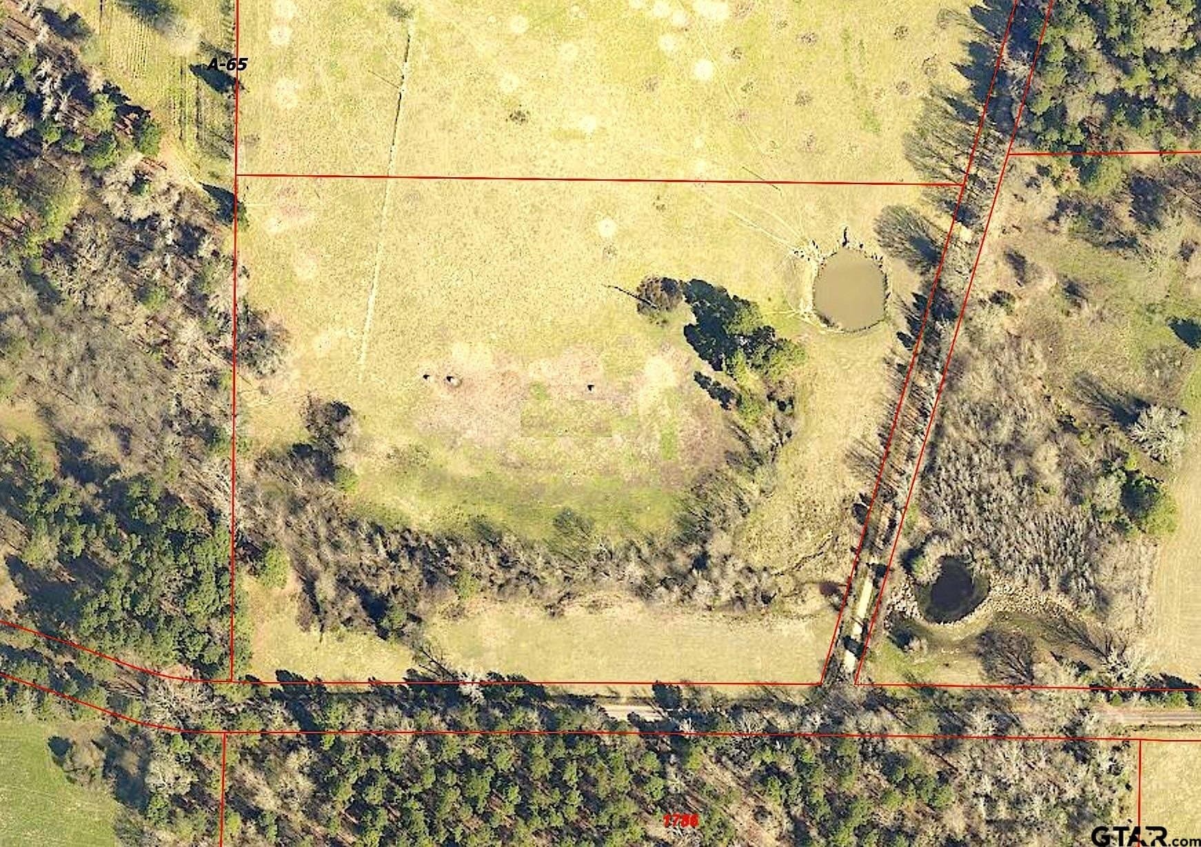 11.64 acres in Cass County - photo 6