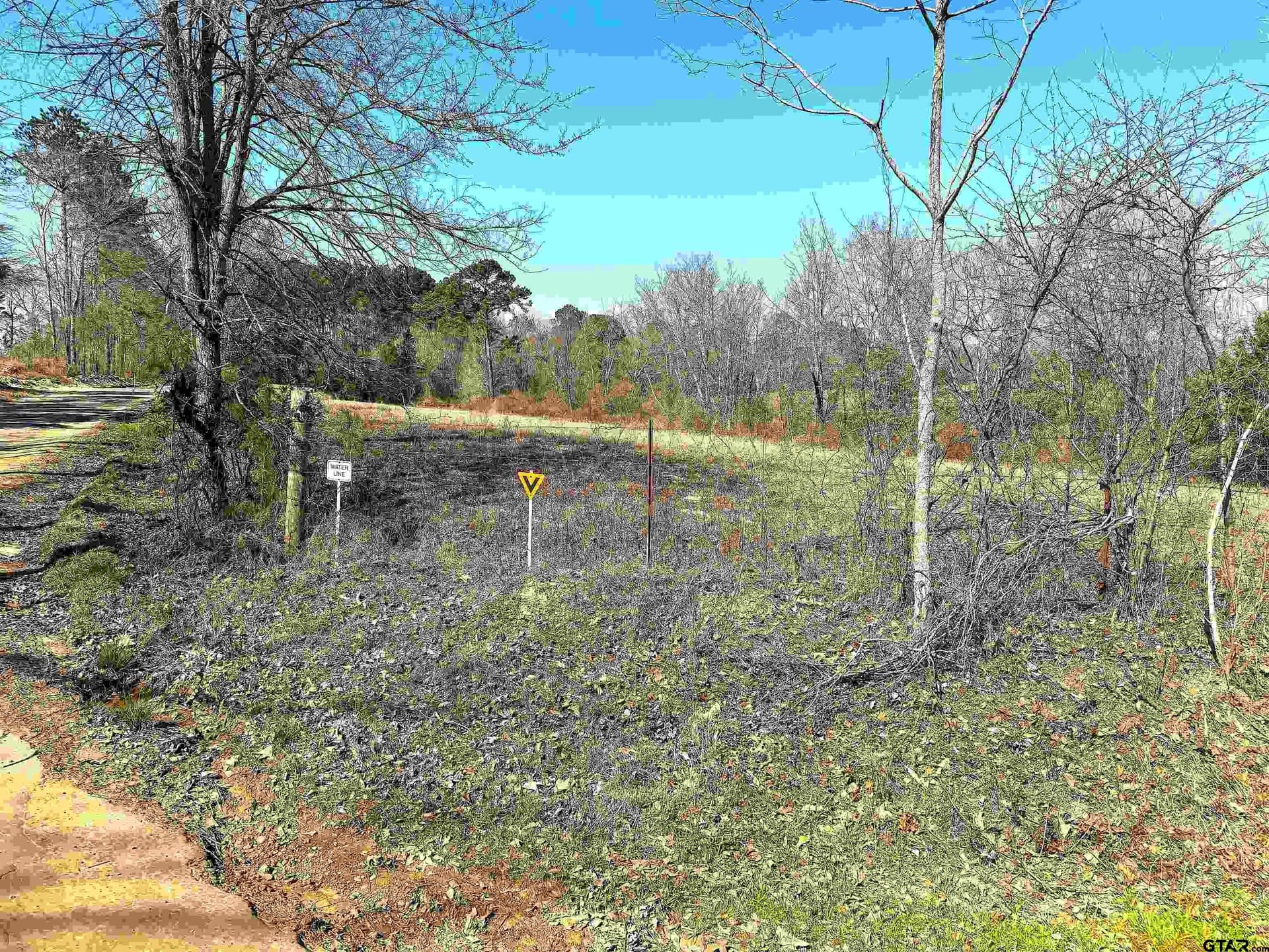11.64 acres in Cass County - photo 4