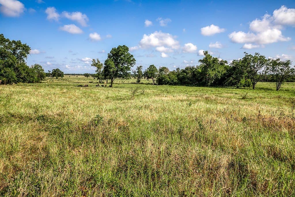 28.75 acres in Washington County - photo 4
