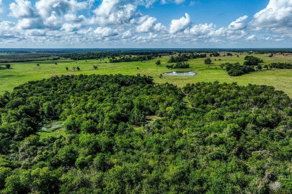 28.75 acres in Washington County - photo 2