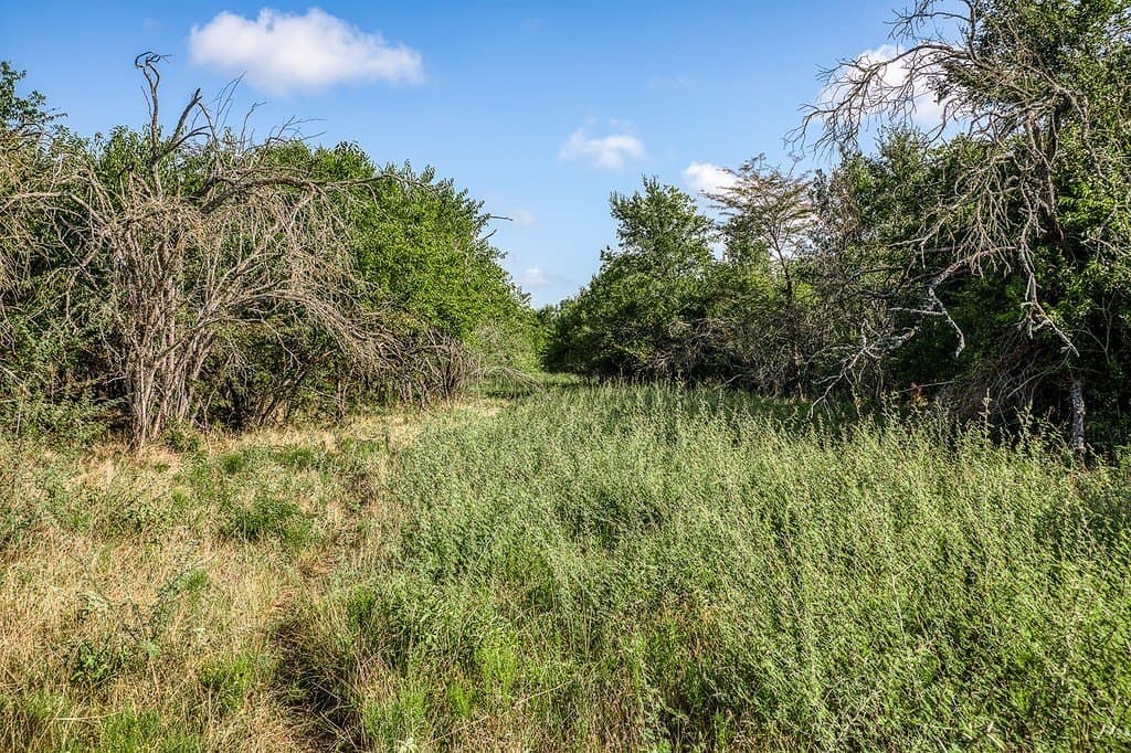 28.75 acres in Washington County - photo 3