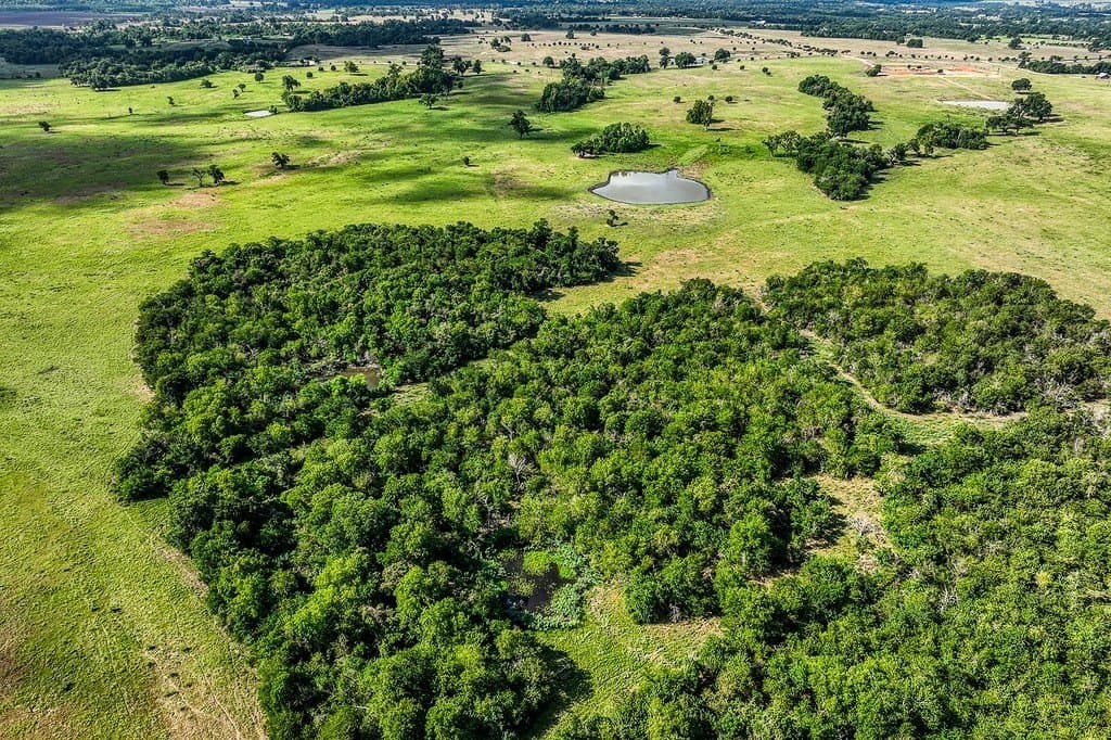 28.75 acres in Washington County - photo 5