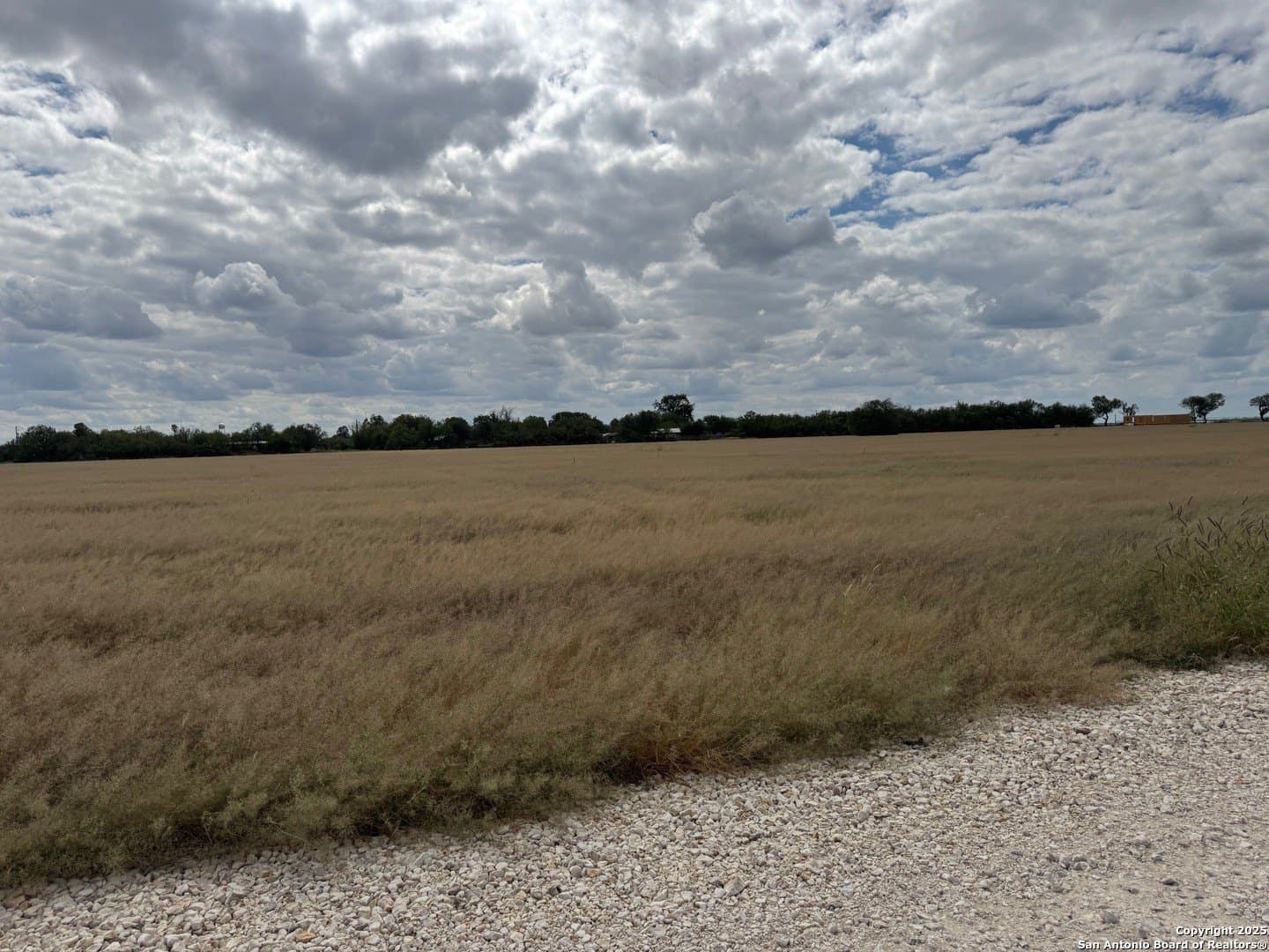 5 acres in Zavala County - photo 3