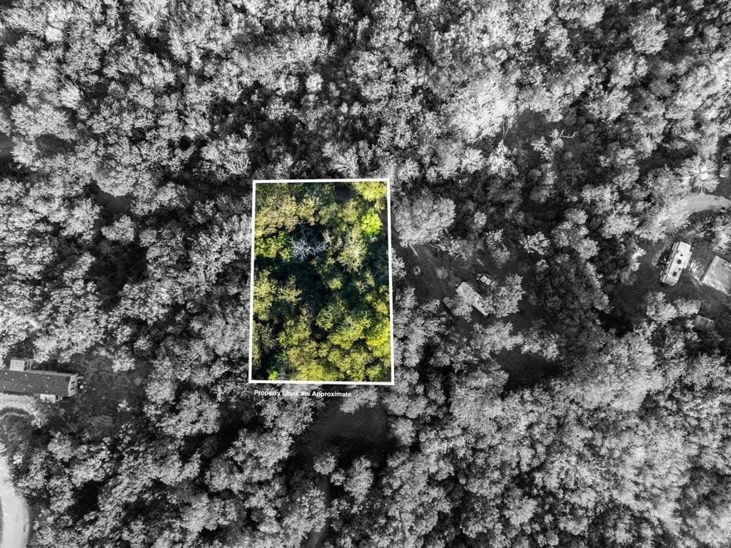 0.12 acres in Hill County - photo 12