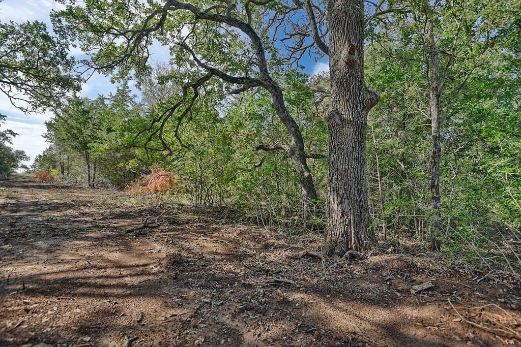 20.2 acres in Lee County - photo 5