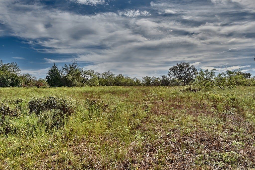 20.2 acres in Lee County - photo 4