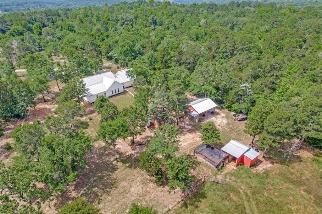 10 acres in Wood County - photo 23