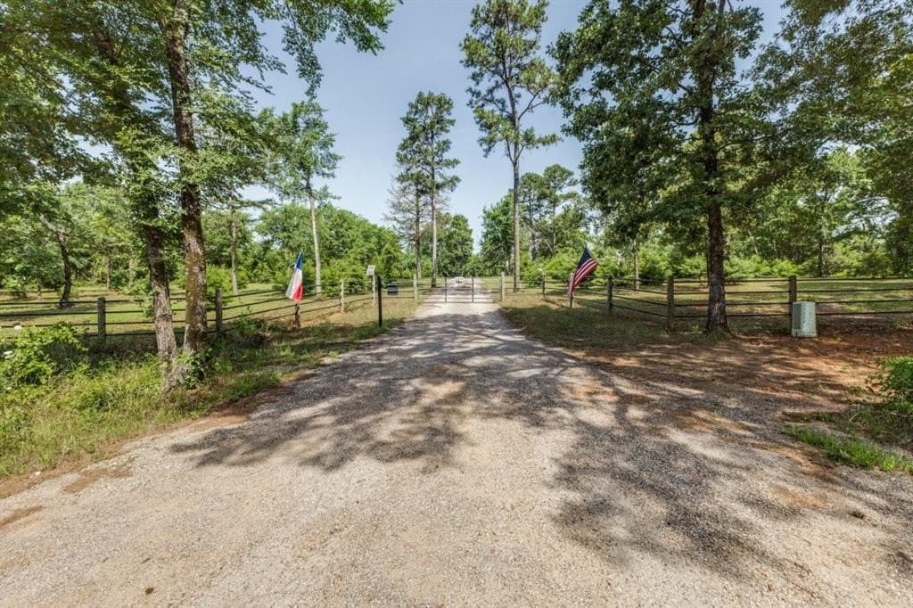 10 acres in Wood County - photo 3