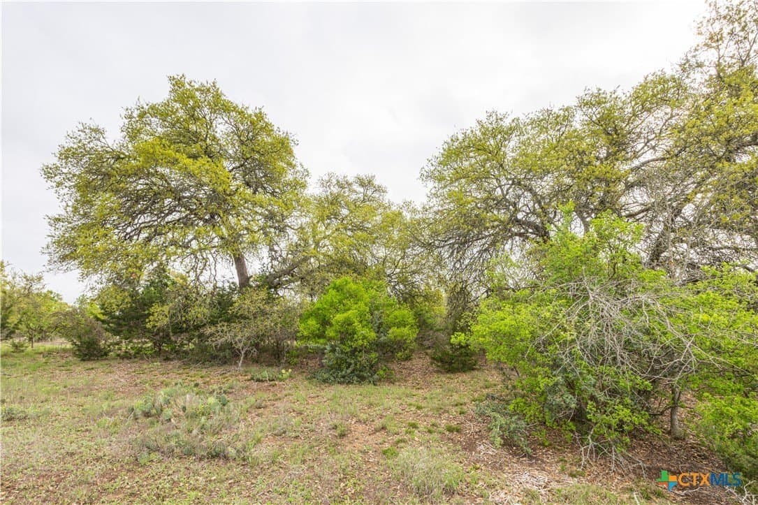 5.01 acres in Blanco County - photo 14