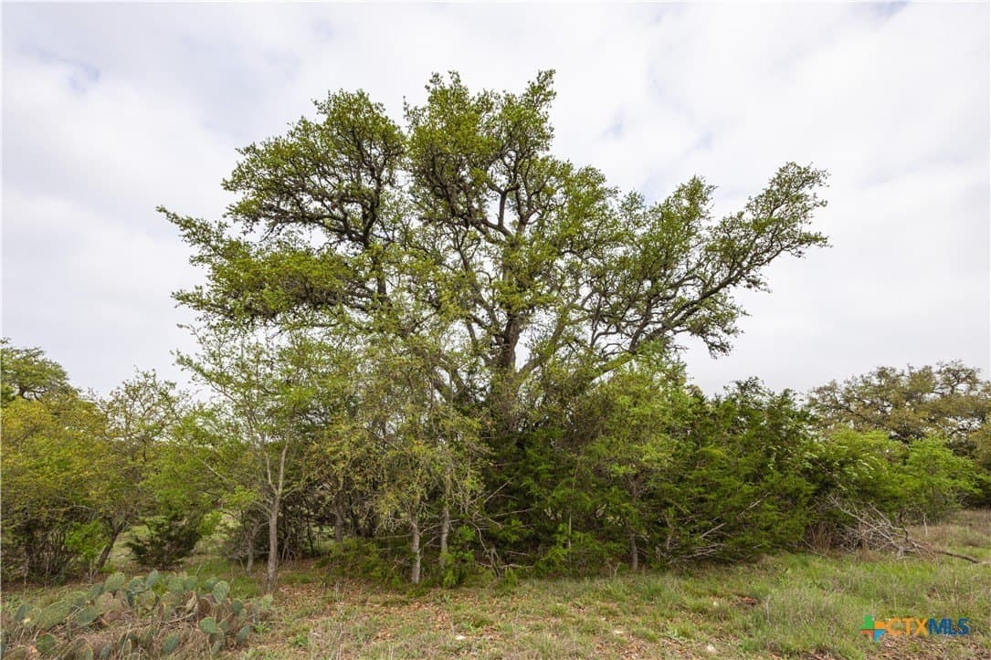 5.01 acres in Blanco County - photo 8