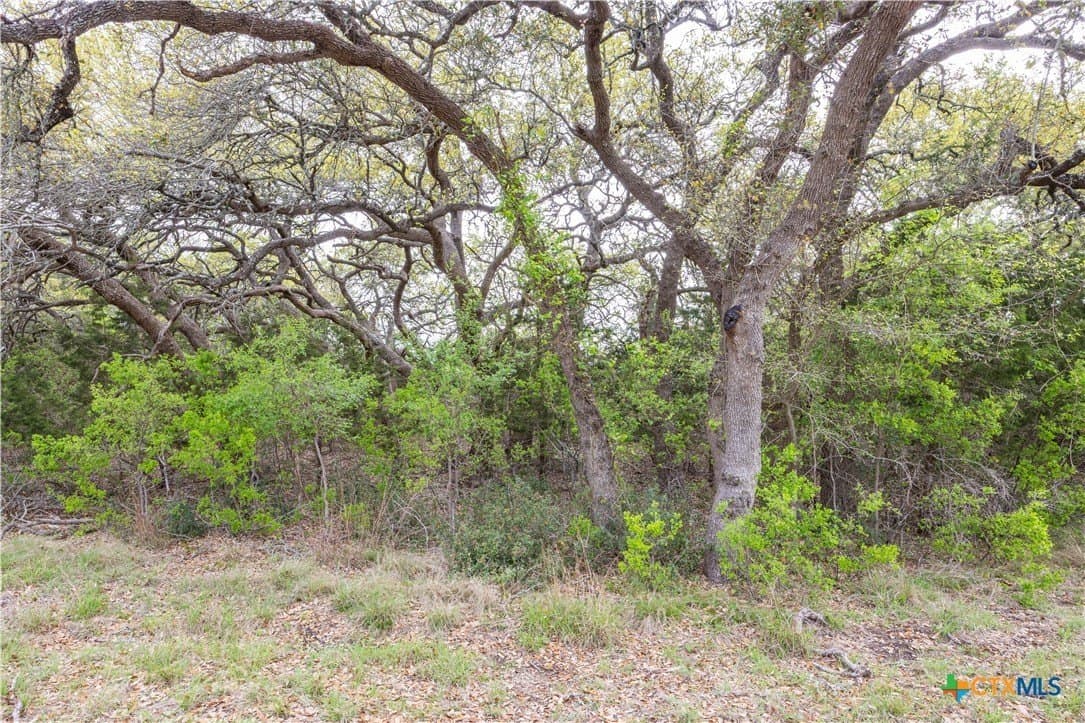 5.01 acres in Blanco County - photo 21