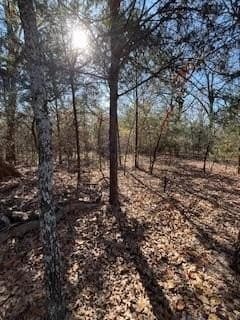 1.78 acres in Navarro County - photo 2