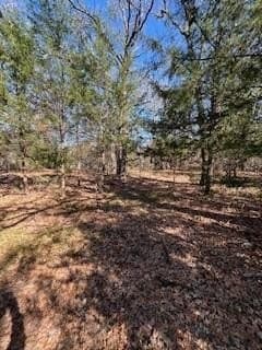 1.78 acres in Navarro County - photo 11