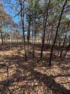 1.78 acres in Navarro County - photo 6