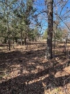 1.78 acres in Navarro County - photo 9