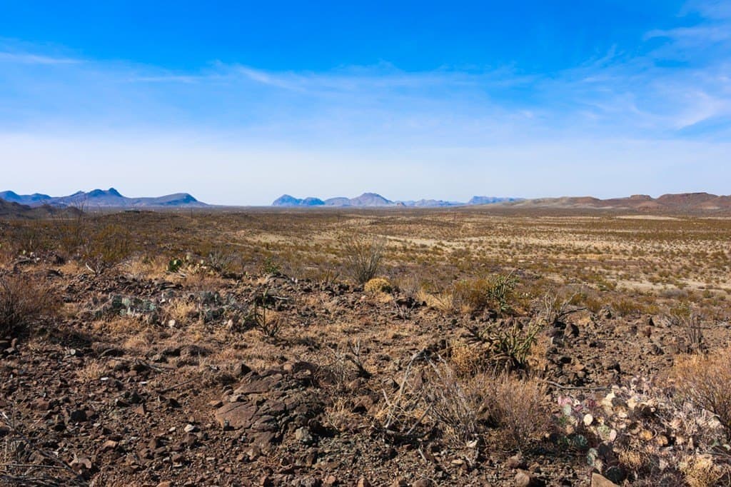 84.5 acres in Brewster County - photo 8