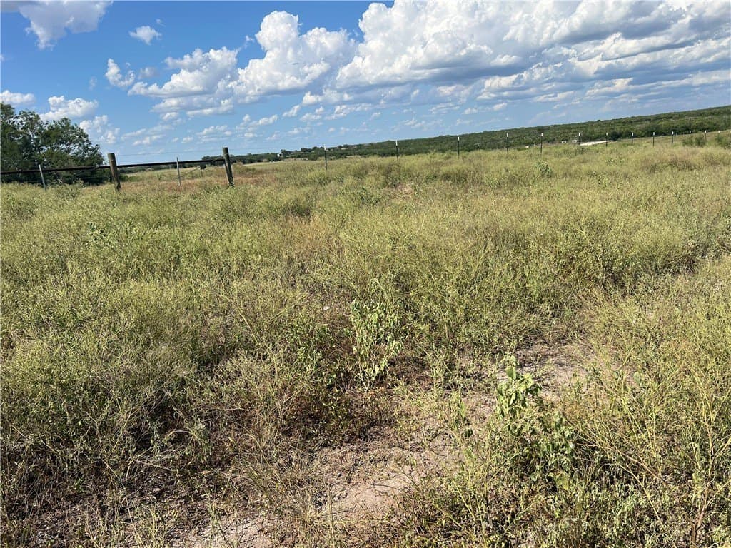 11.06 acres in Live Oak County - photo 2