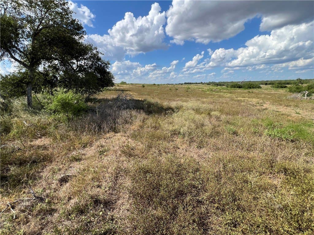 11.06 acres in Live Oak County - photo 13