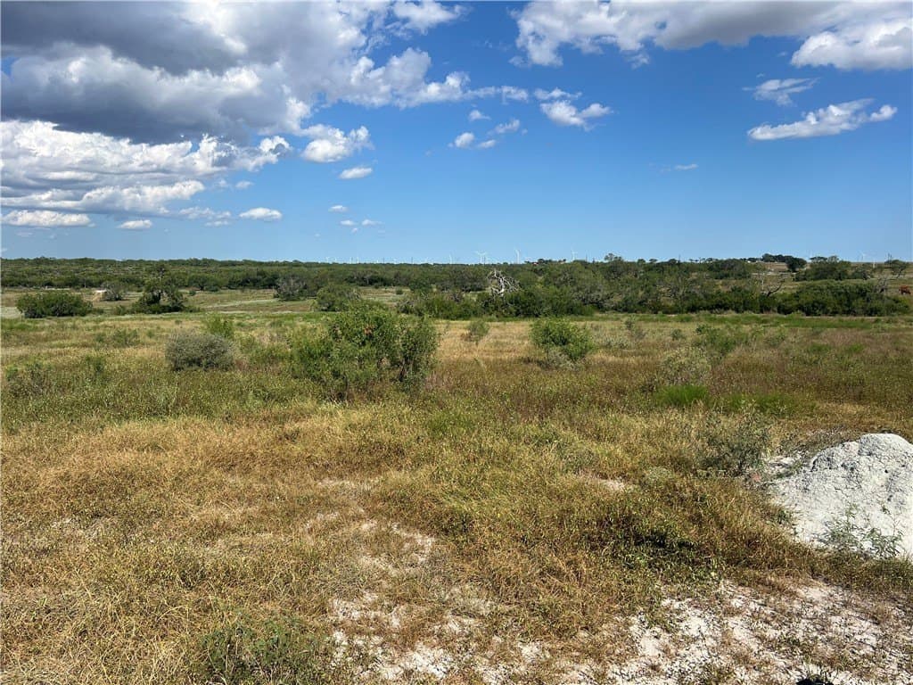 11.06 acres in Live Oak County - photo 5