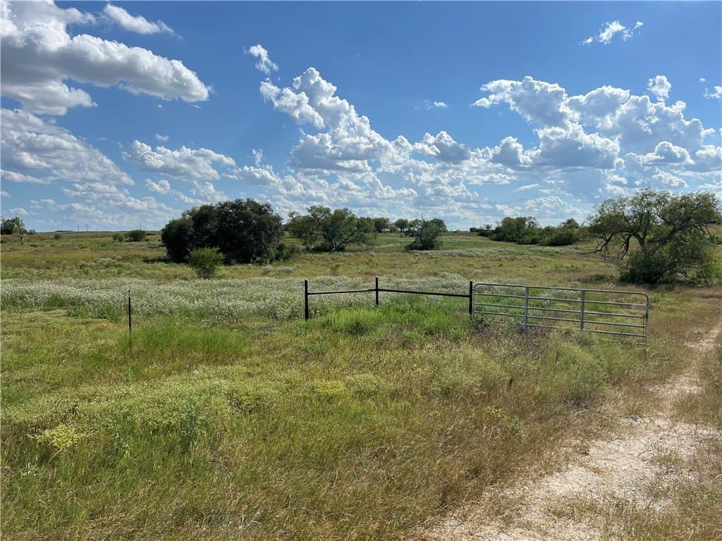 11.06 acres in Live Oak County - photo 14