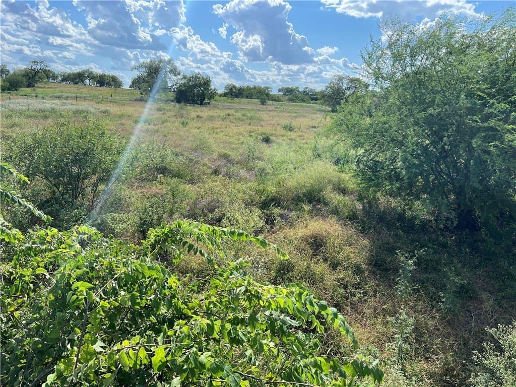 11.06 acres in Live Oak County - photo 22