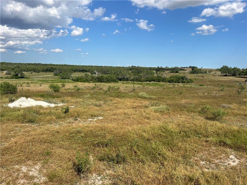 11.06 acres in Live Oak County - photo 7