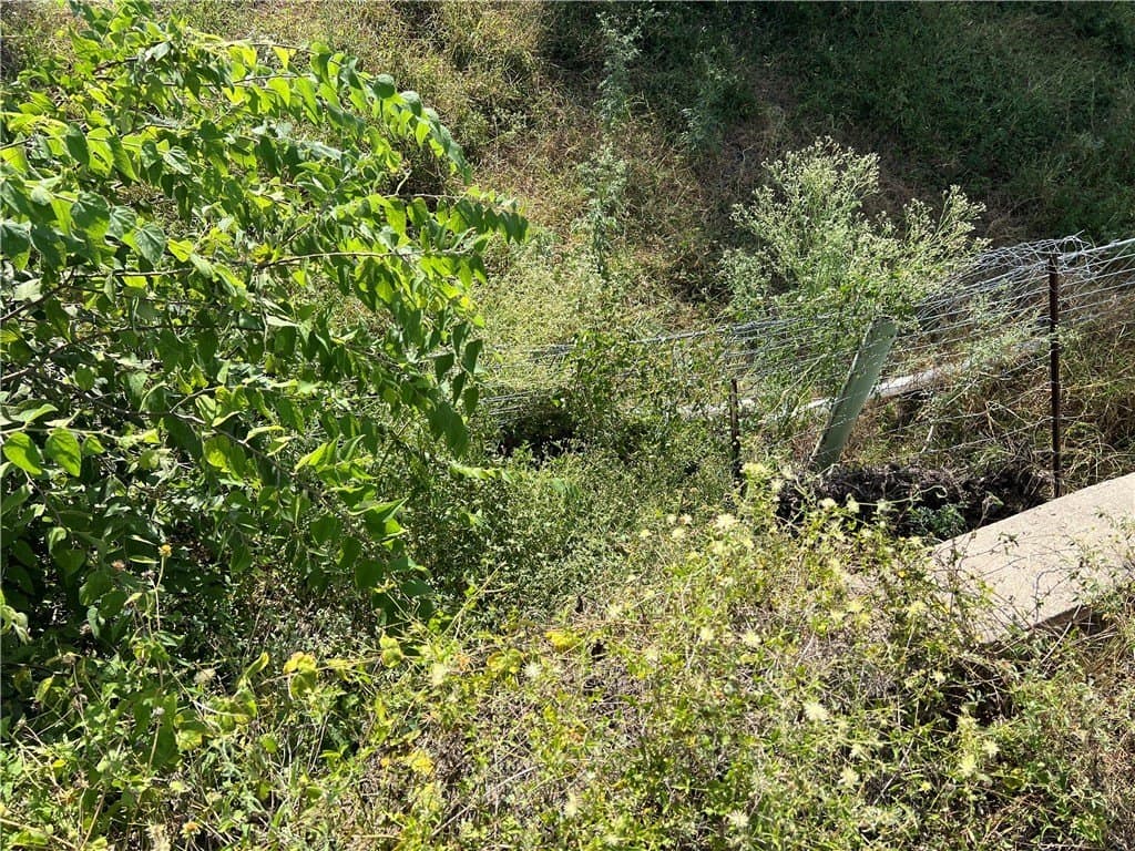 11.06 acres in Live Oak County - photo 21
