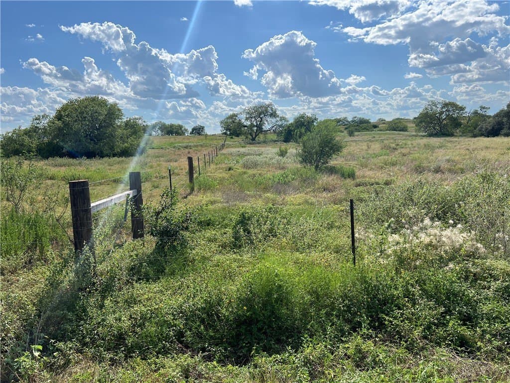11.06 acres in Live Oak County - photo 19