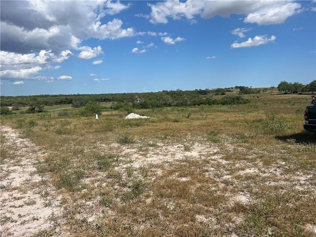 11.06 acres in Live Oak County - photo 3