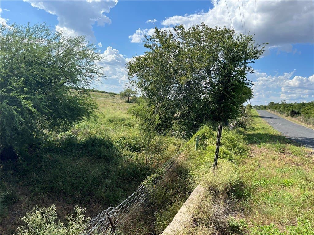 11.06 acres in Live Oak County - photo 24