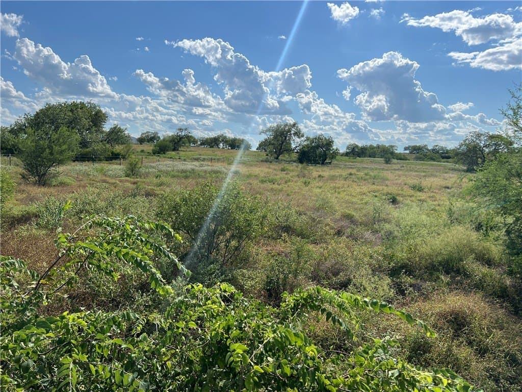 11.06 acres in Live Oak County - photo 23