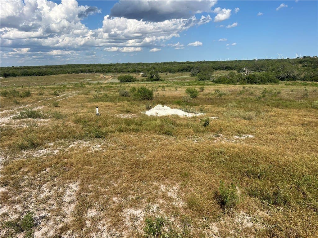 11.06 acres in Live Oak County - photo 9